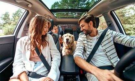 people renting car from gdc rent a car